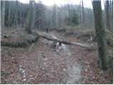 Krače - Pleše